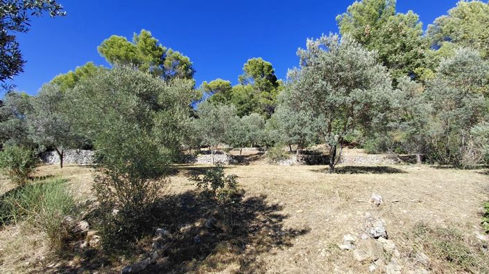 Image No.16-3 Bed House for sale