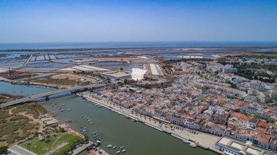 arsorvoxcoz6j8f113