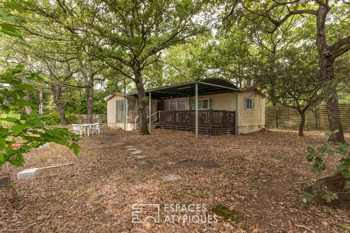 Image No.19-5 Bed House for sale