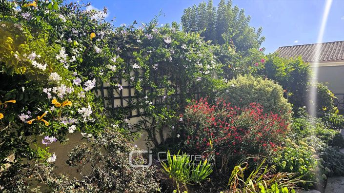 Image No.20-3 Bed House for sale