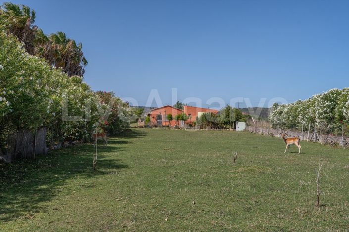 Image No.11-7 Bed House for sale