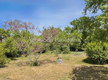 ausl5o7uw5ekhqp711