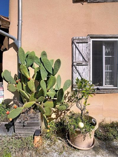 Image No.18-4 Bed House for sale
