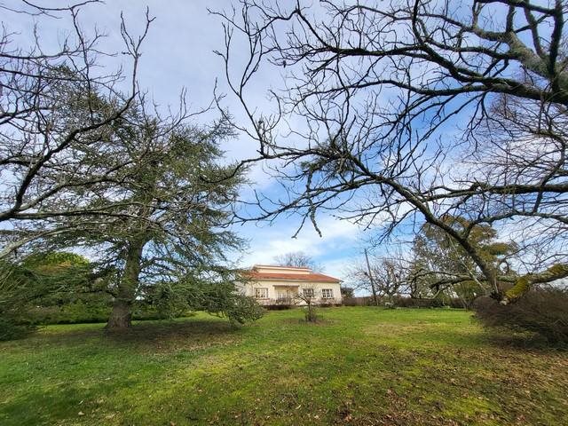 Image No.18-4 Bed House for sale