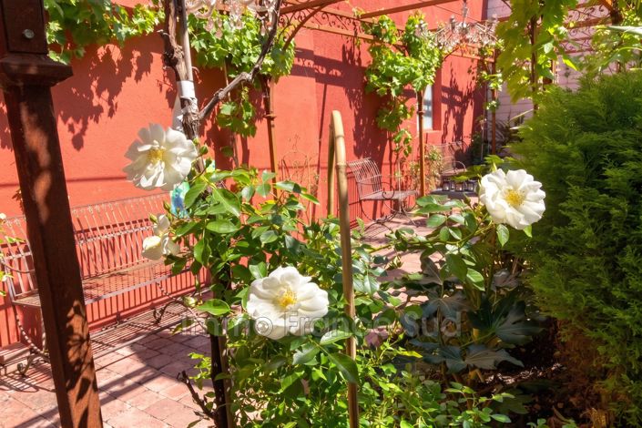 Image No.10-5 Bed House for sale