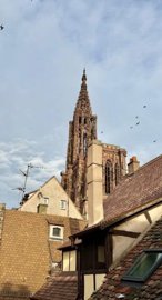 1 - Strasbourg, Appartement