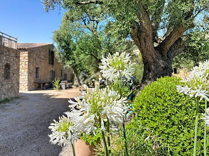 Image No.3-12 Bed House for sale