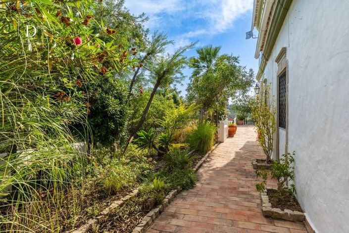 Image No.29-3 Bed House for sale