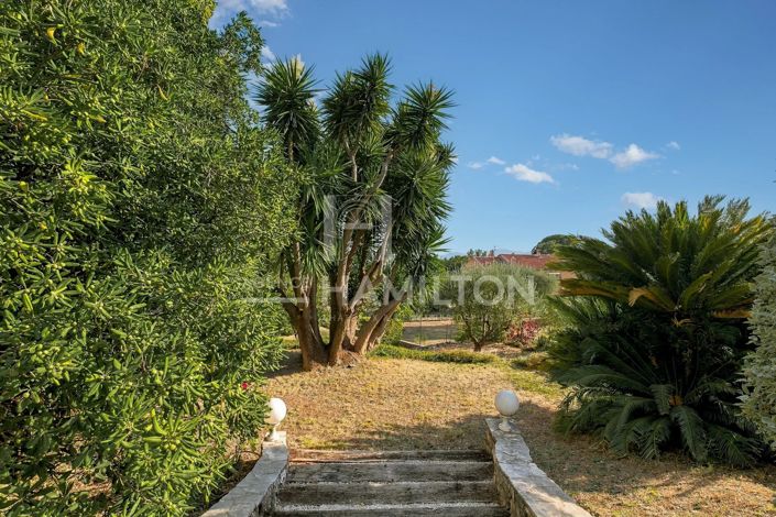 Image No.21-6 Bed House for sale