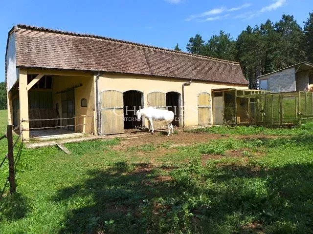 Image No.29-Propriété de 6 chambres à vendre