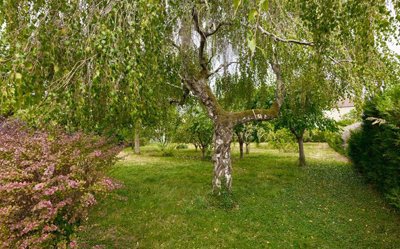ajczfkw54i3kq5bu5