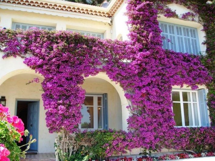 Image No.27-5 Bed House for sale