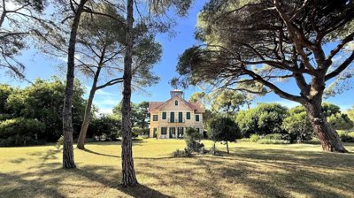 1 - Aigues-Mortes, Propriété