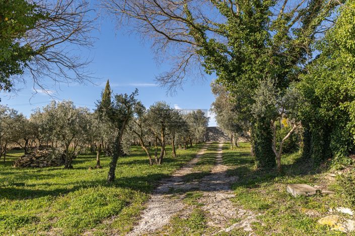 Image No.4-4 Bed House for sale