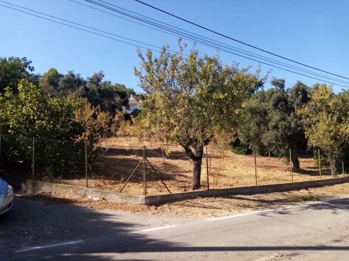 Image No.33-3 Bed House for sale