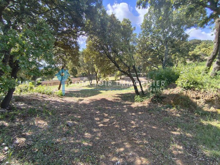 Image No.17-5 Bed House for sale