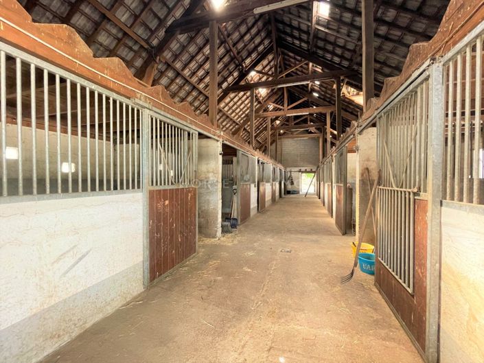 Image No.9-4 Bed House for sale