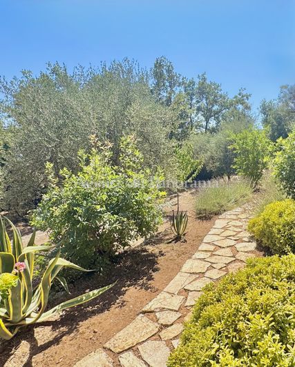 Image No.26-4 Bed House for sale
