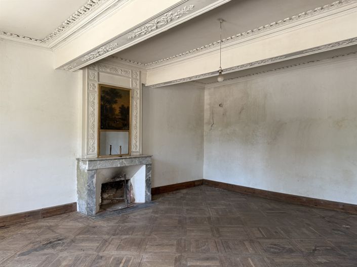 Image No.4-8 Bed House for sale