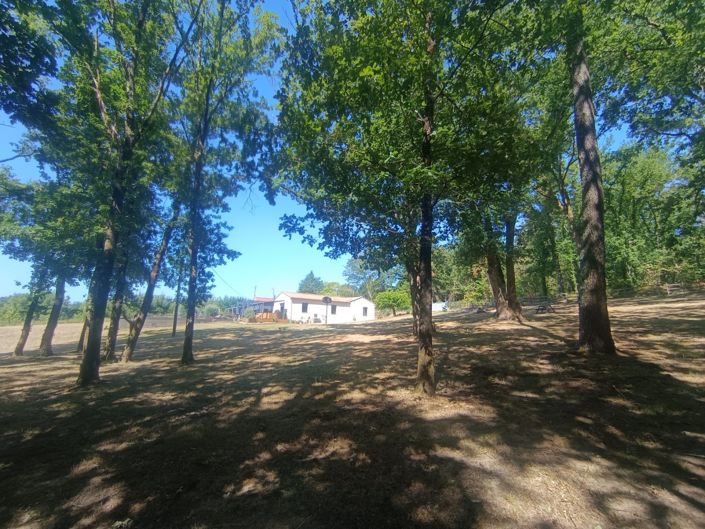 Image No.9-3 Bed House for sale