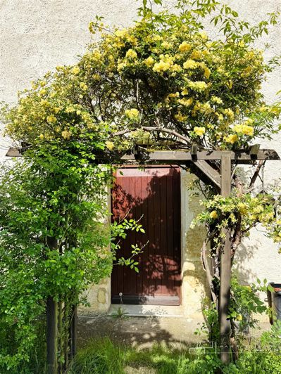 Image No.14-5 Bed House for sale