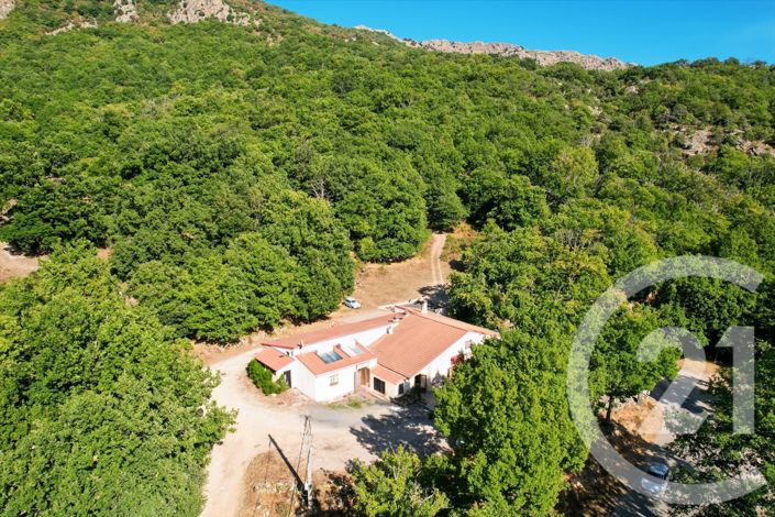 Image No.4-5 Bed House for sale