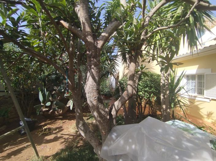 Image No.28-5 Bed House for sale