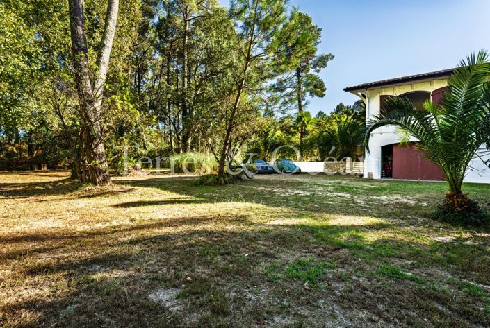 Image No.13-Casa con 5 dormitorios en venta