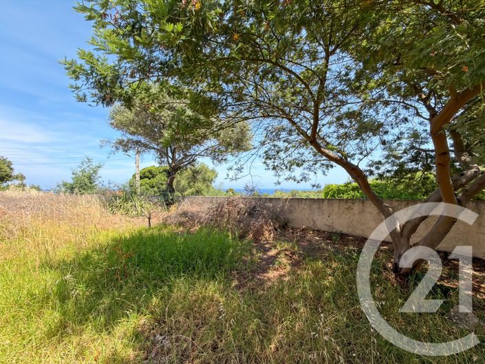 Image No.25-5 Bed House for sale