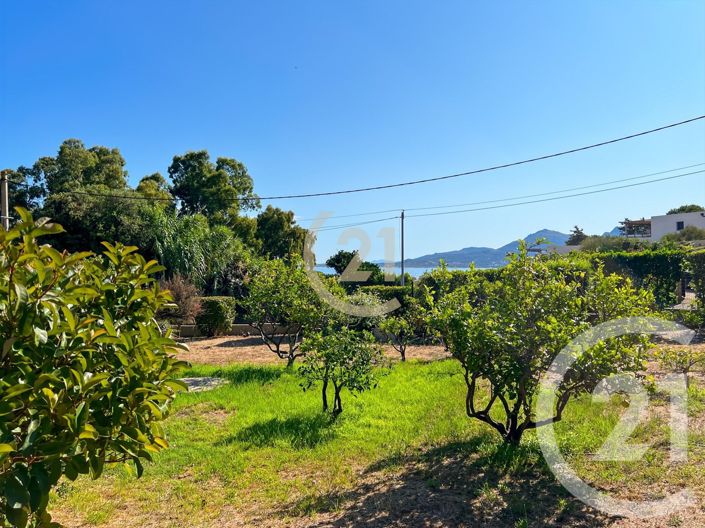Image No.25-3 Bed House for sale
