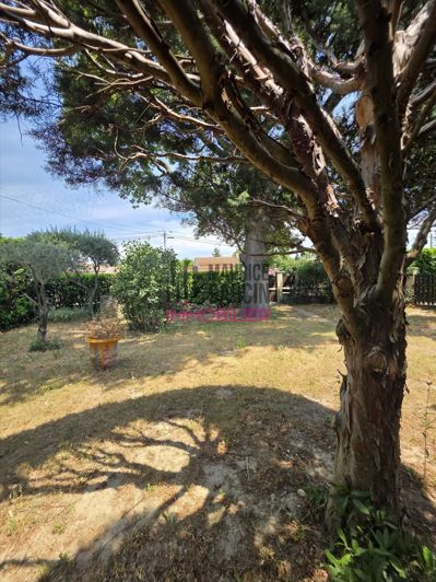 Image No.3-Casa con 3 dormitorios en venta