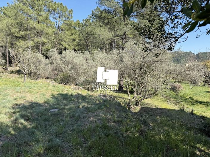 Image No.11-3 Bed House for sale