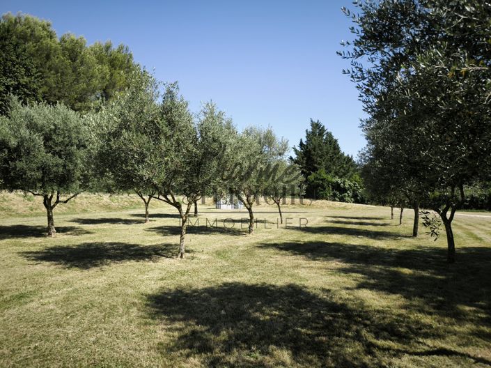 Image No.20-6 Bed House for sale