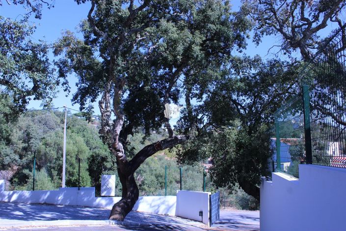 Image No.13-5 Bed House for sale