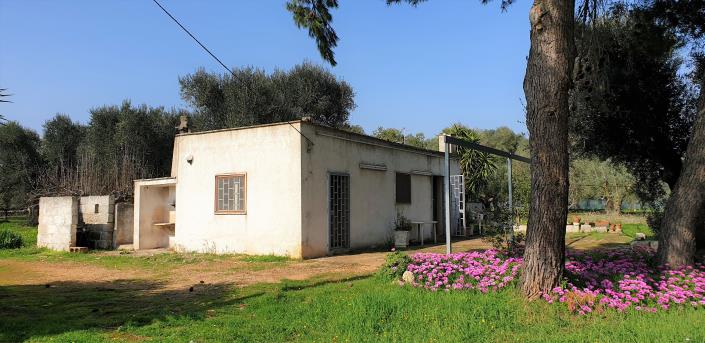 Image No.8-1 Bed Cottage for sale