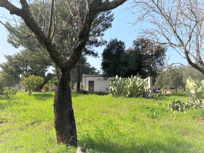 Image No.12-1 Bed Cottage for sale