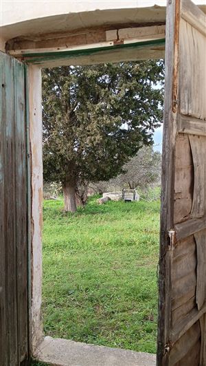 Image No.22-2 Bed Property for sale