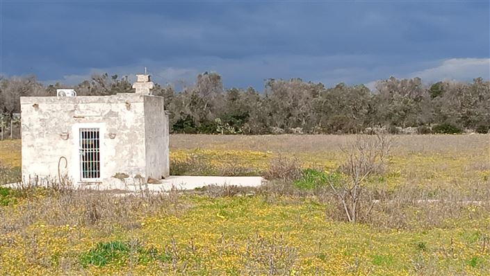 Image No.10-1 Bed Farmhouse for sale