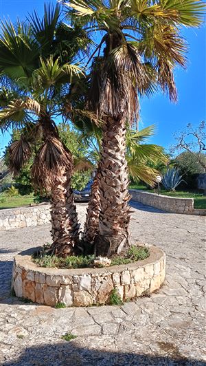 Image No.25-Propriété de 3 chambres à vendre à Ostuni