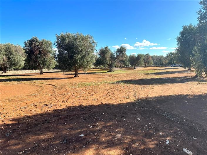 Image No.16-2 Bed Property for sale