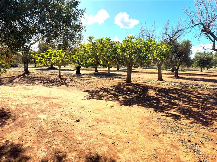 Image No.17-2 Bed Property for sale