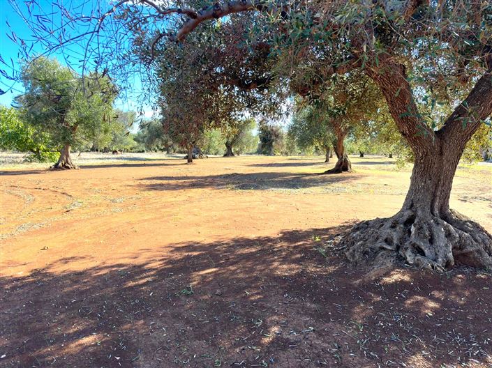 Image No.24-2 Bed Property for sale