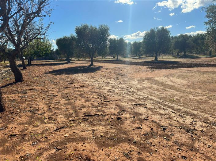 Image No.25-2 Bed Property for sale