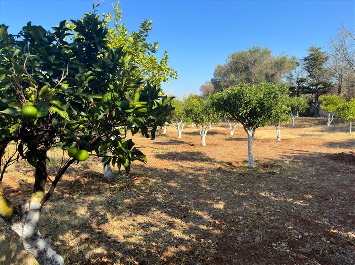 Image No.29-4 Bed Property for sale