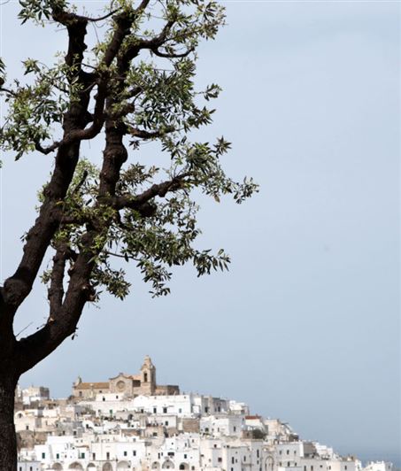 Image No.16-1 Bed Apartment for sale