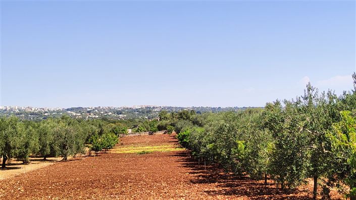 Image No.10-Property for sale