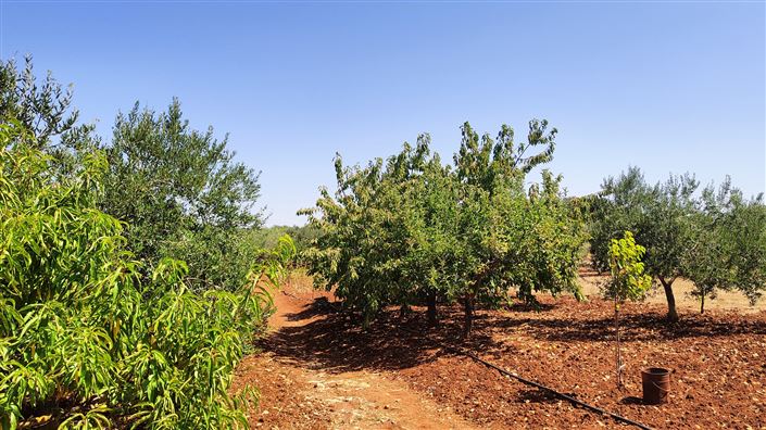 Image No.7-Property for sale