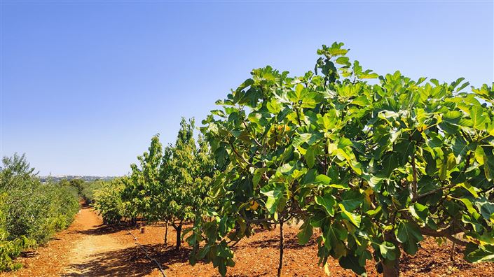 Image No.8-Property for sale