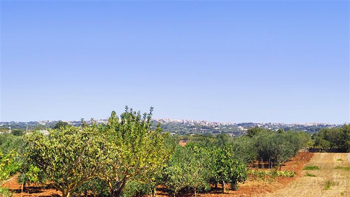 Image No.9-Property for sale