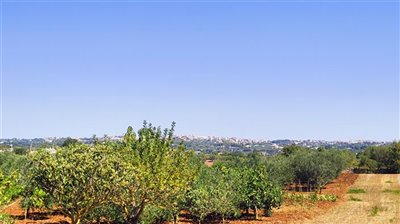 img20230815112535